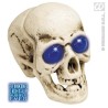 CALAVERA CON LUCES                                
