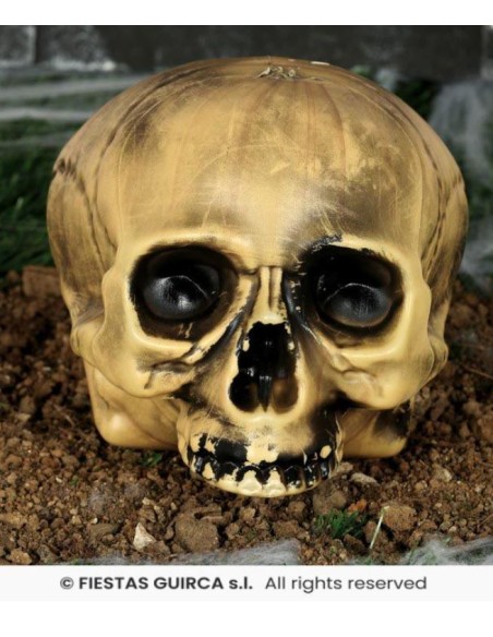 CALAVERA SIN MENTÓN PLÁSTICO