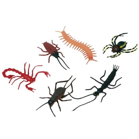 INSECTOS SURTIDOS