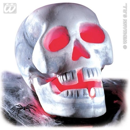 CALAVERA LUZ INT.                                 