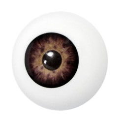 OJO ARTIFICIAL 2