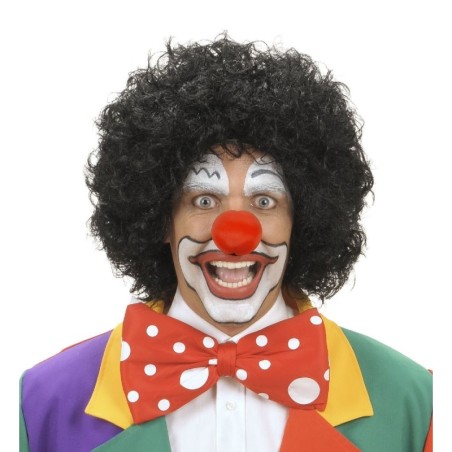 PELUCA PAYASO COLORES 