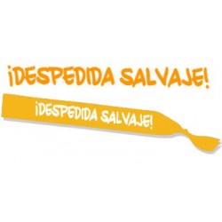 BANDA "DESPEDIDA SALVAJE" 