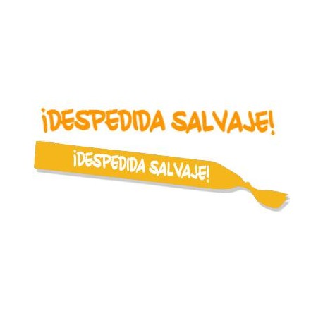 BANDA "DESPEDIDA SALVAJE" 