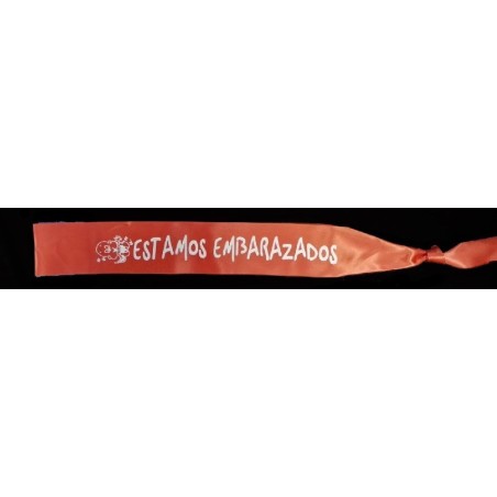 BANDA "ESTAMOS EMBARAZADOS"