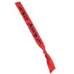 BANDA "AMIGAS DIABÓLICAS"  2