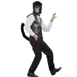COLA GATO                                          2
