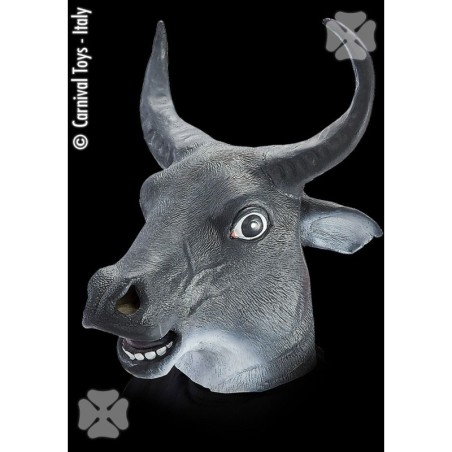 CARETA TORO                                       