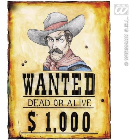 CARTEL "SE BUSCA"                                 