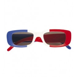 GAFAS FRANCIA 