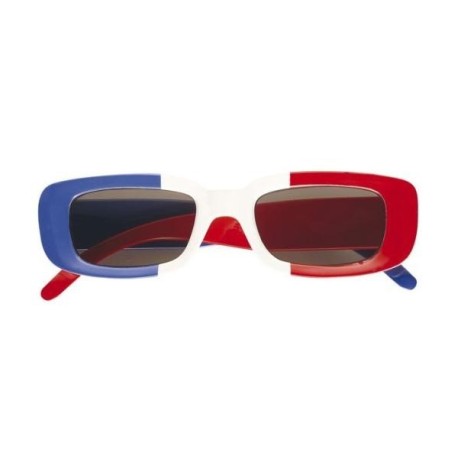 GAFAS FRANCIA                                     