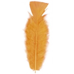 PLUMAS COLOR 10 CM