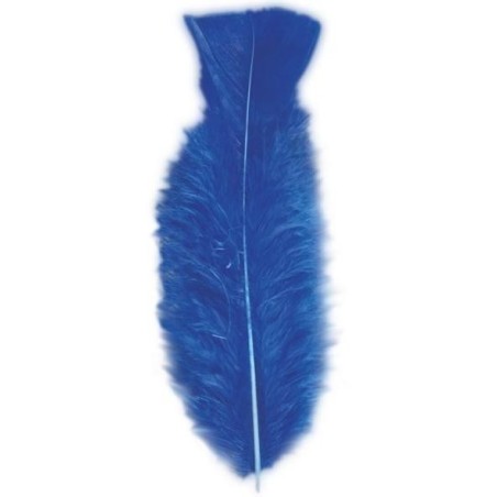 PLUMAS COLOR 10 CM