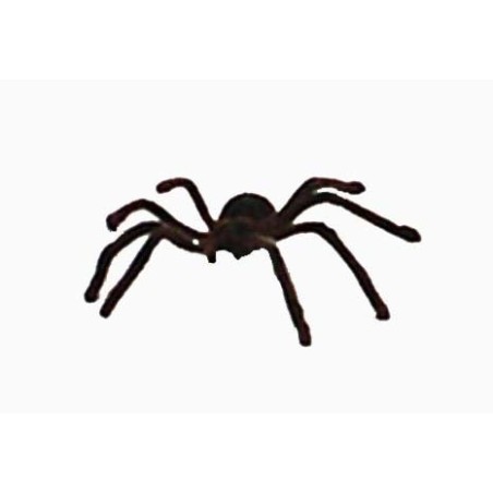TARÁNTULA  PELUDA  GRANDE CON CLAVO          