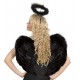 ALAS PLUMAS NEGRAS 
