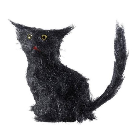 GATO NEGRO PEQUEÑO                                