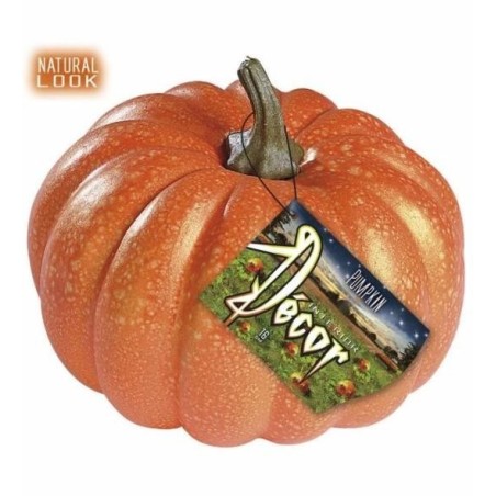 CALABAZA APARIENCIA REAL                          
