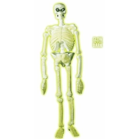 ESQUELETO FLUOR 1,50 MT                           