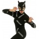 CARETA CATWOMAN 