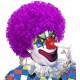 PELUCA PAYASO COLORES