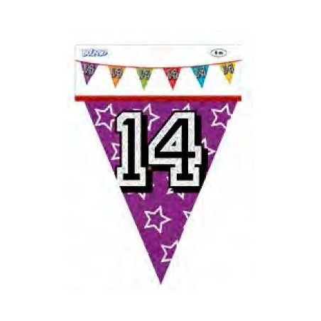 GUIRNALDA CUMPLEAÑOS Nº14