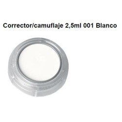 CORRECTOR CAMUFLAJE 2,5 ML 2