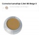 CORRECTOR CAMUFLAJE 2,5 ML