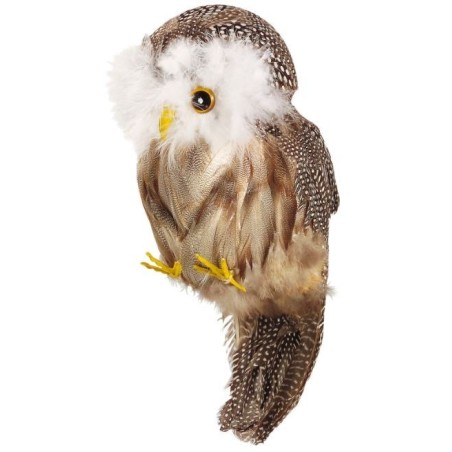 BUHO CON PLUMAS                                   