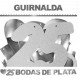 GUIRNALDA "25 BODAS DE PLATA"