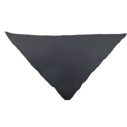 CHAMBRA DE AGUADOR CON PAÑUELO NEGRO 2