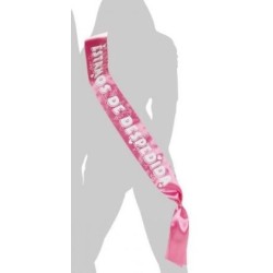 BANDA "ESTAMOS DE DESPEDIDA" 2