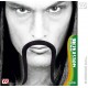 BIGOTE CHINO 