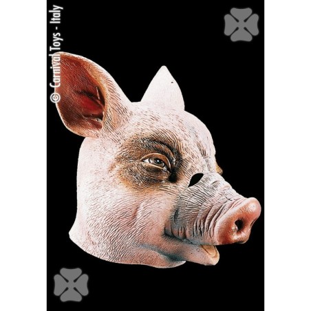 CARETA CERDITO                                    