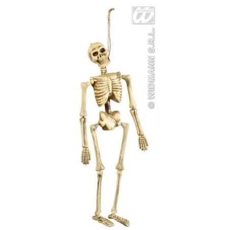 ESQUELETO 40 CM
