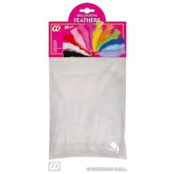 PLUMAS BLANCAS 10 CM 2