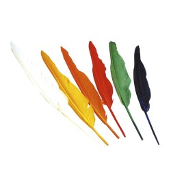 PLUMAS INDIOS SUELTAS 2