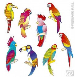 PÁJAROS TROPICALES