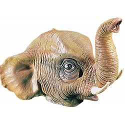 CARETA ELEFANTE