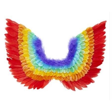 ALAS DE PLUMAS ARCOIRIS