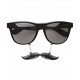 GAFAS CON BIGOTE 