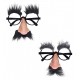 GAFAS CON NARIZ Y BIGOTE 