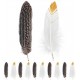 PLUMAS INDIO 12 UND