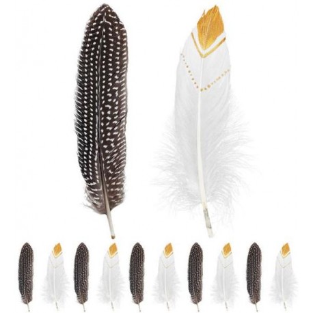 PLUMAS INDIO 12 UND