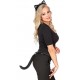 SET DE GATO