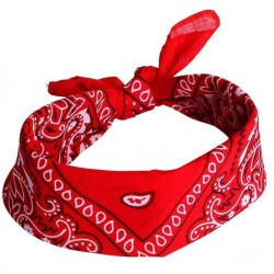 CINTA DE PELO BANDANA