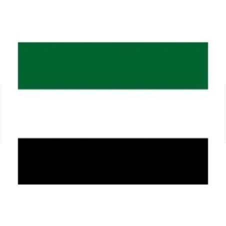 BANDERA DE TELA PARA EXTERIOR EXTREMADURA 210X140
