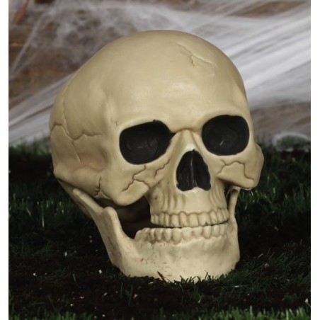 CALAVERA 20 CM