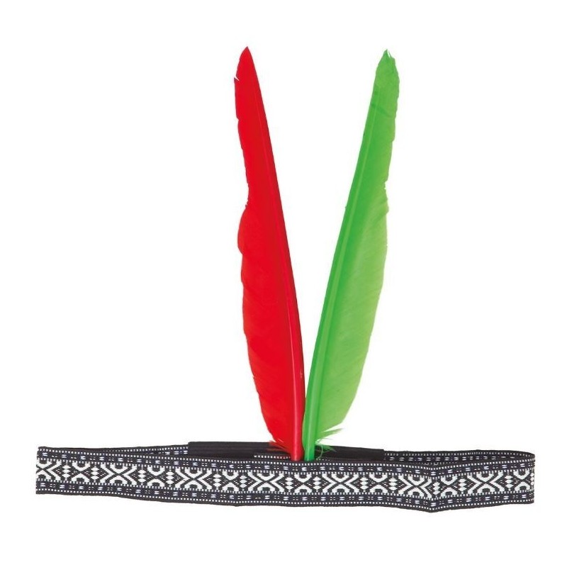 CINTA INDIO CON 2 PLUMAS