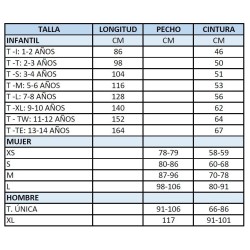 DISFRAZ ELFA ADULTO 2
