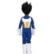 DISFRAZ DE VEGETA DE DRAGON BALL INFANTIL